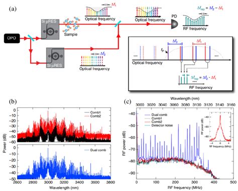 A Experimental Setup For Dual Comb Absorption Spectroscopy B