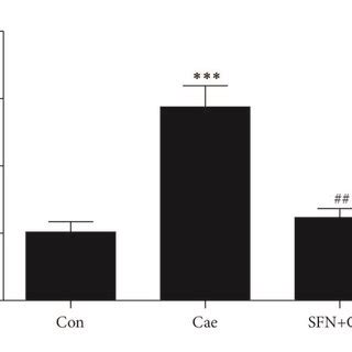 SFN Administration Protects Against Cerulein Induced AP In Mice The