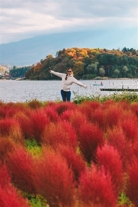 15 Best Things To See At Lake Kawaguchi Japan Guide