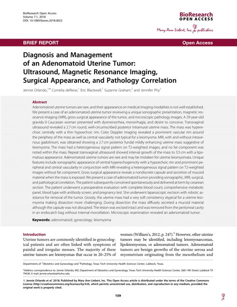 PDF Diagnosis And Management Of An Adenomatoid Uterine Tumor