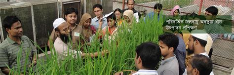 Bangladesh Rice Research Institute Bangladesh Rice Knowledge Bank