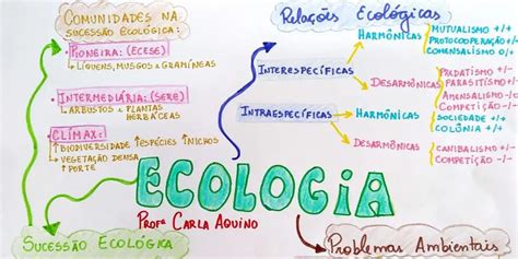 O Que Mais Cai Em Biologia No Enem Profes