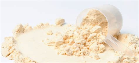 Casein Protein Benefits, Nutrition, Uses and Side Effects - Dr. Axe