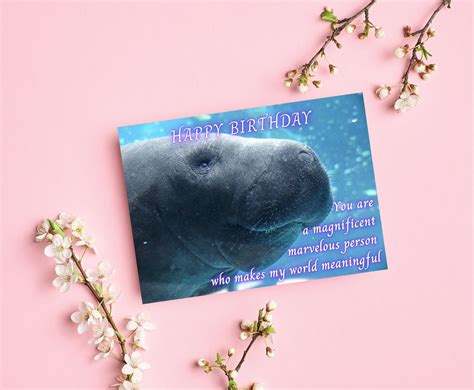 Manatee Birthday Card Lara De Ann