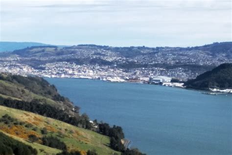 Dunedin City Wildlife And Larnach Castle