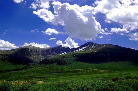 Colorado Elk Clear Creek County Tourism Bureau