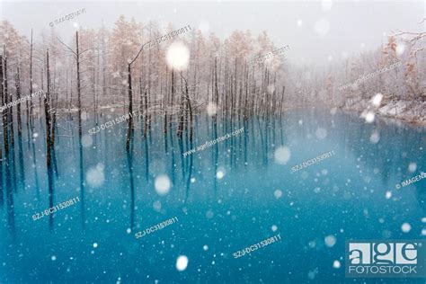 Blue Pond In Winter Stock Photo Picture And Royalty Free Image Pic