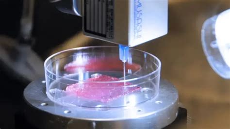 Full Thickness Human Skin Bioprinting Produced For Wound Healing