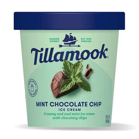 Mint Chocolate Chip Ice Cream Pint - Tillamook