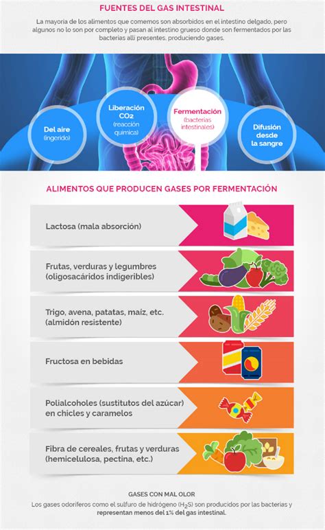 Que Alimento Causa Gases - Qué alimentos producen gases | OCU