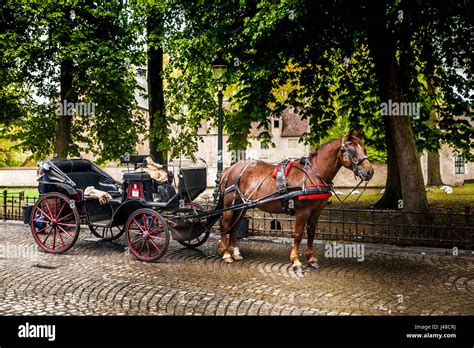 Medieval Carriage Hi Res Stock Photography And Images Alamy