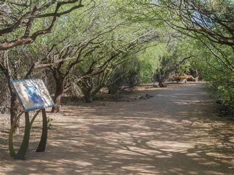 Desert Botanical Garden in Phoenix is recommended part of Scottsdale tour