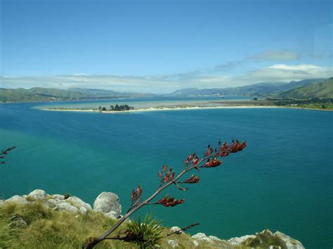 SOUTHERN CROSS SOJOURN: Otago Peninsula