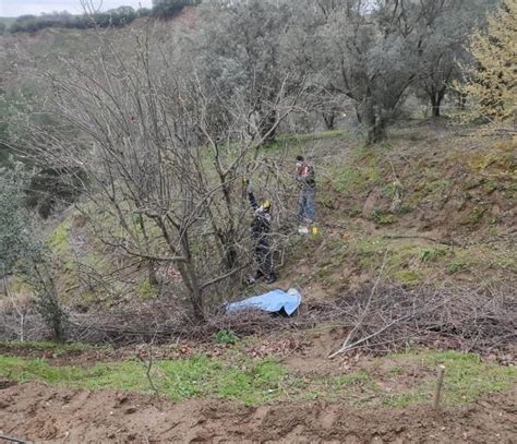 Manisa Da Korkun L M A A Tan D Erek Hayat N Kaybetti