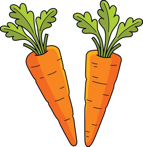 Carrots Clipart