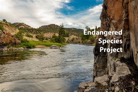 Endangered Species - Colorado Water Congress