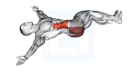 Frog Hip Thrust Guide Benefits And Form Artofit