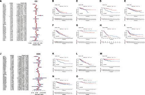 Frontiers A Pan Cancer Analysis Of Abi3bp A Potential Biomarker For