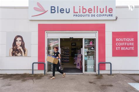 Offre Emploi CDI Conseiller De Vente Bleu Libellule N CDI 35H Perpignan