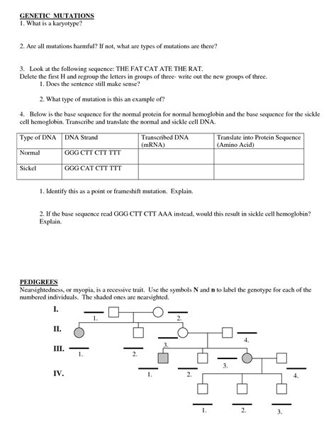 Gene And Chromosome Mutation Worksheet