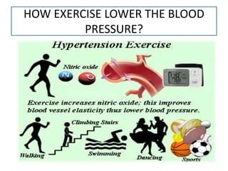 10 Best Exercises To Control High Blood Pressure Mobile Physio