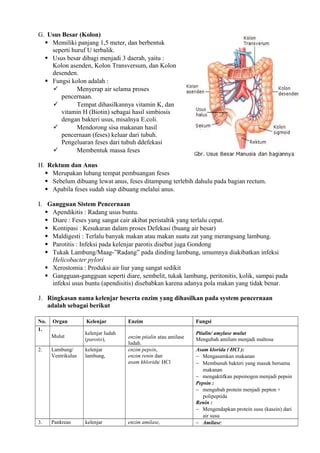 System Pencernaan Manusia Pdf