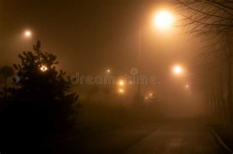 Street In The Fog At Night Blurred Photo Bokeh Stock Image Image Of