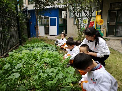 我劳动，我快乐——记翰林河景幼儿园五一劳动节主题教育活动