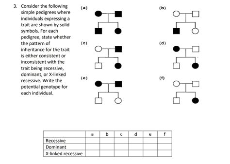 SOLVED Consider The Following Simple Pedigrees Where Individuals