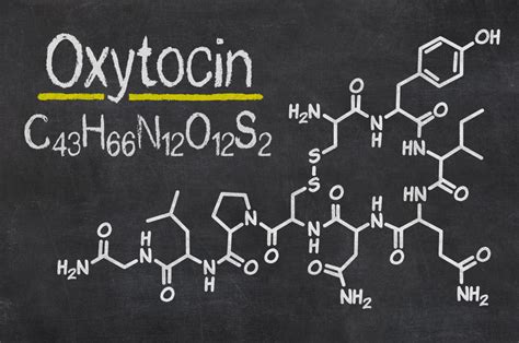 What is Oxytocin? Review, Benefits, Side Effects