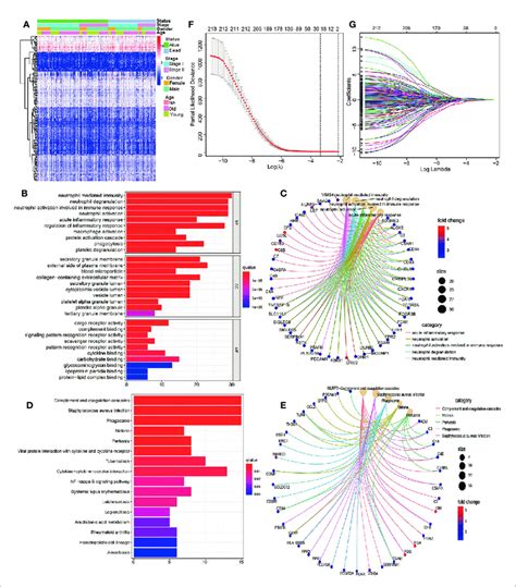 Identification Of Core Prognostic Differentially Expressed