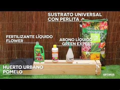 Te Contamos Unos Trucos Infalibles Para Cultivar Tu Propio Huerto