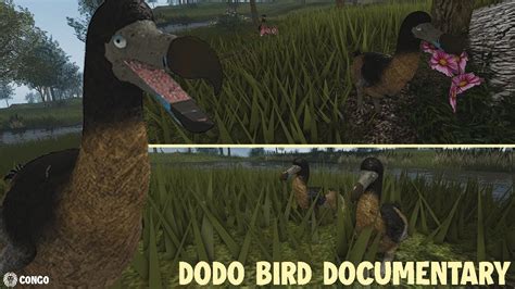 Roblox Dodo Documentary Cenozoic Survival Youtube