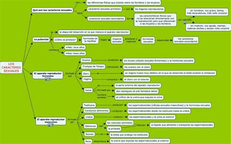 Sistema Reproductor Femenino M Mind Map