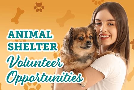 Shelter Volunteers | rcspca