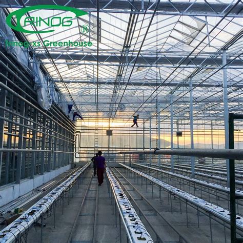 Hot Sale Agricultural Galvanized Steel Pipe Structure Glass Greenhouse