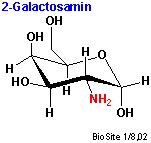 Galactosamin Chondrosamin 2 Amino 2 Deoxy D Galactopyranose B D