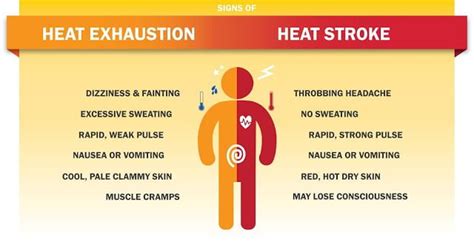 Heat Stroke Vs Heat Exhaustion Venn Diagram How Do Heat Exha