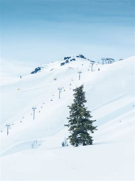 The Mountain: Reports, Maps & More | Sun Valley