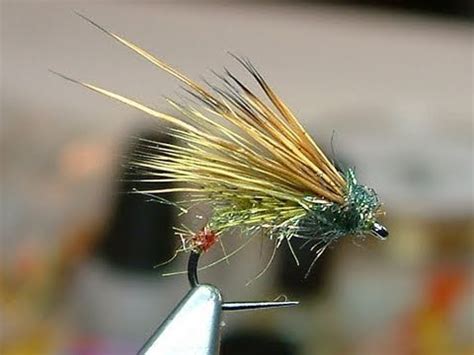 Tying A Green Peter Caddis By Davie McPhail Caddis Fly Fishing Fly