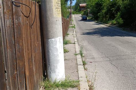 Primim de la cititori Zona din Câmpina unde vegetația a înghițit