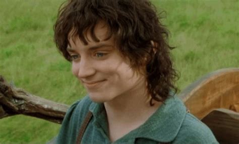 Frodo Baggins GIF - Find & Share on GIPHY