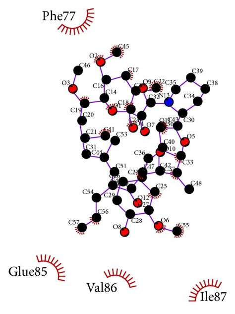 Ligplot Illustrating Protein Ligand Interactions During Docking A Download Scientific