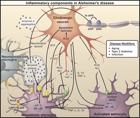 Our Parkinson S Place Review Focuses On Possible Role Of