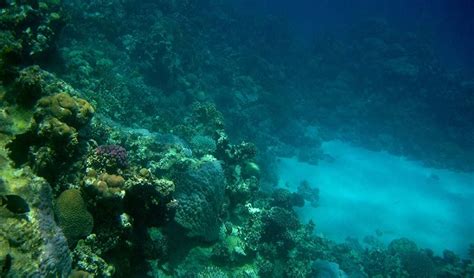 Thee Pool Dahab Snorkeling | Snorkeling in Dahab | Dahab Trips