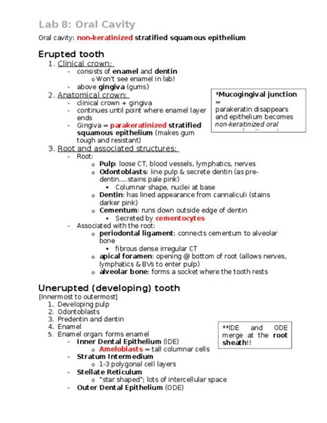 Anat Lecture Lab Oral Cavity Doc Oneclass