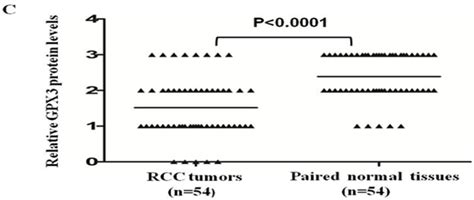 Expression Pattern Of Gpx In Ccrcc A Seventy Six Paired Ccrcc