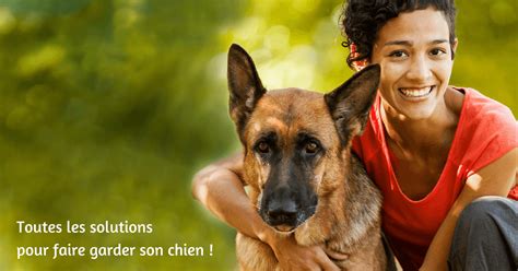 Garde Chien Toutes Les Solutions Guide Complet