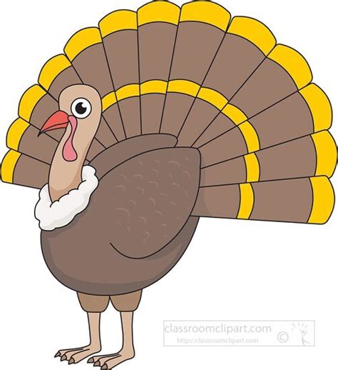 Bird Clipart-brown turkey tail feathers open clipart