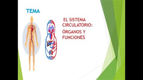 Clase Virtual To De Primaria Ciencia Y Tecnolog A El Sistema